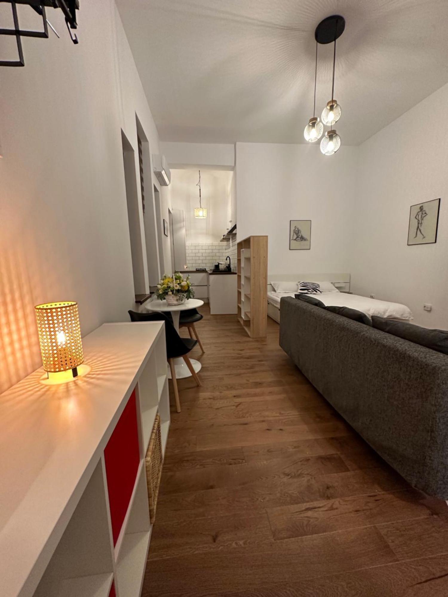 Apartment Cismigiu